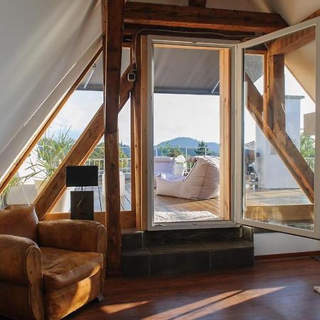 City Penthouse Mit Dachterrasse Friburgo in Brisgovia Esterno foto