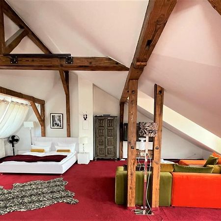 City Penthouse Mit Dachterrasse Friburgo in Brisgovia Esterno foto