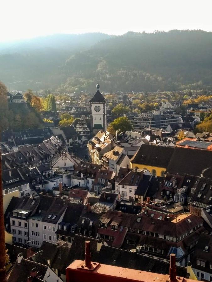 City Penthouse Mit Dachterrasse Friburgo in Brisgovia Esterno foto