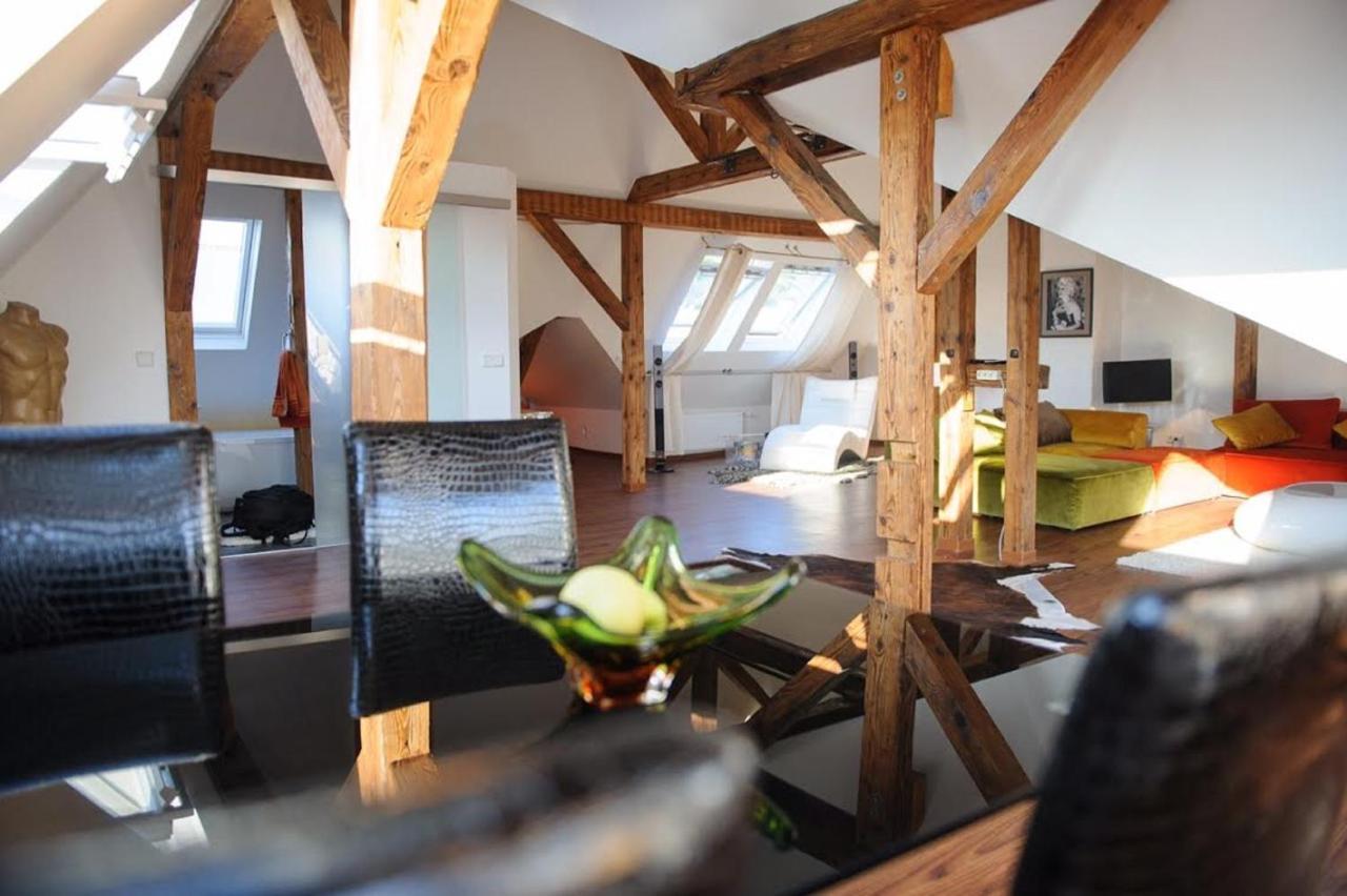 City Penthouse Mit Dachterrasse Friburgo in Brisgovia Esterno foto