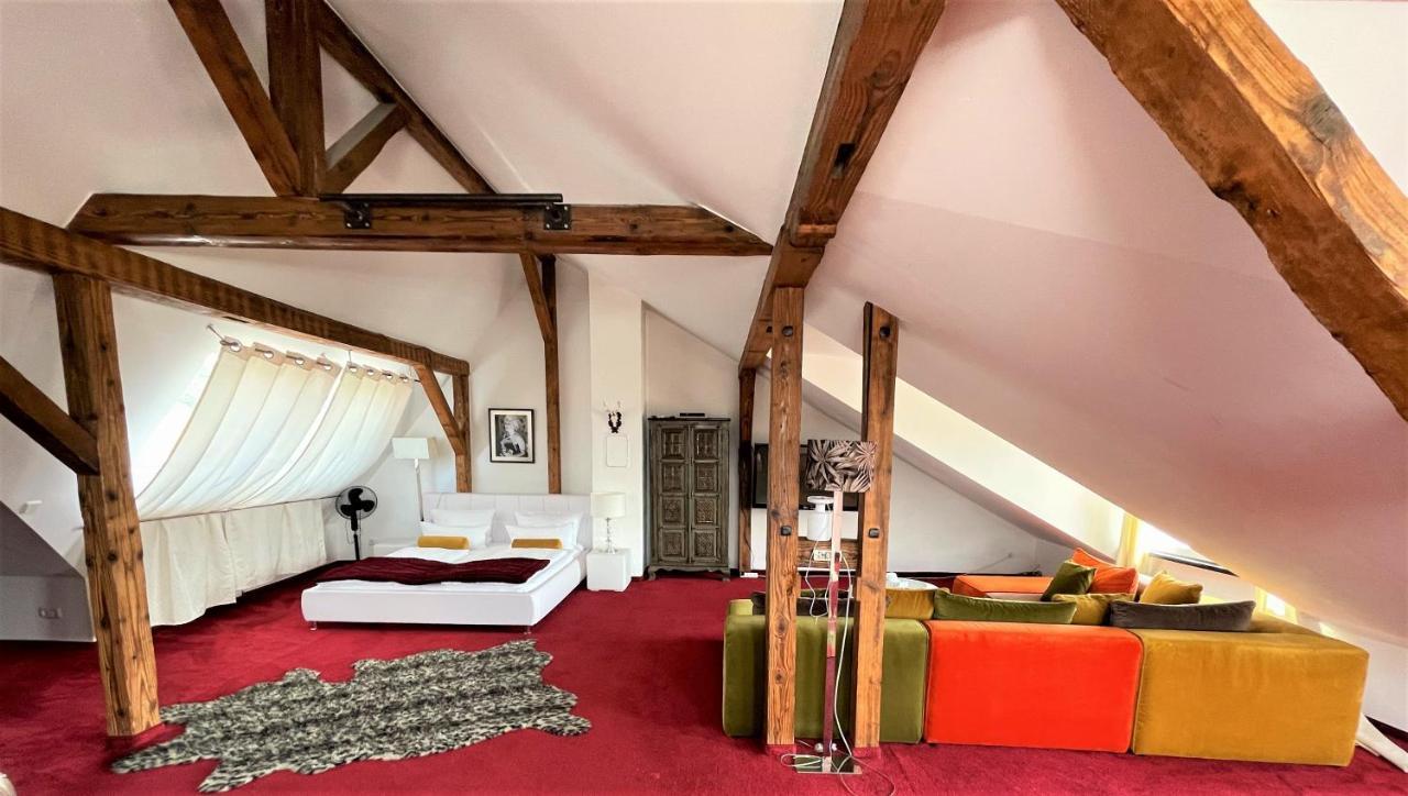 City Penthouse Mit Dachterrasse Friburgo in Brisgovia Esterno foto