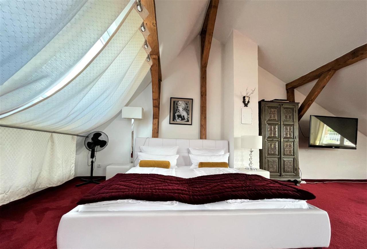 City Penthouse Mit Dachterrasse Friburgo in Brisgovia Esterno foto