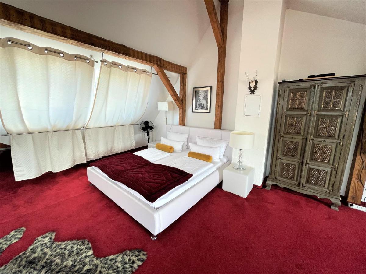 City Penthouse Mit Dachterrasse Friburgo in Brisgovia Esterno foto